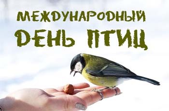 Акция Международный день птиц